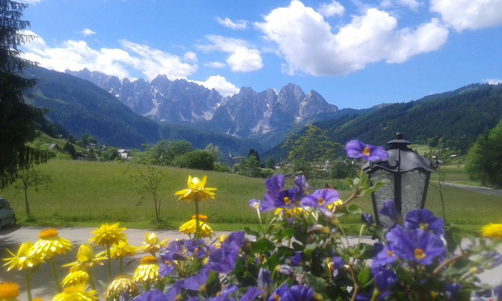 - Restaurant Gosauerhof Gosau