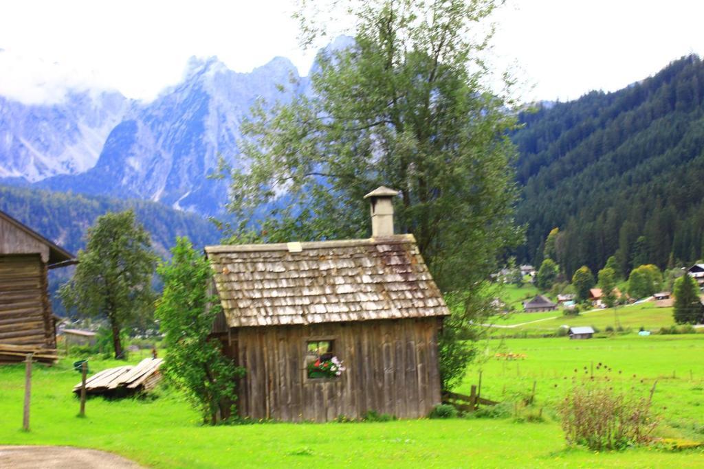 - Restaurant Gosauerhof Hotel 3*